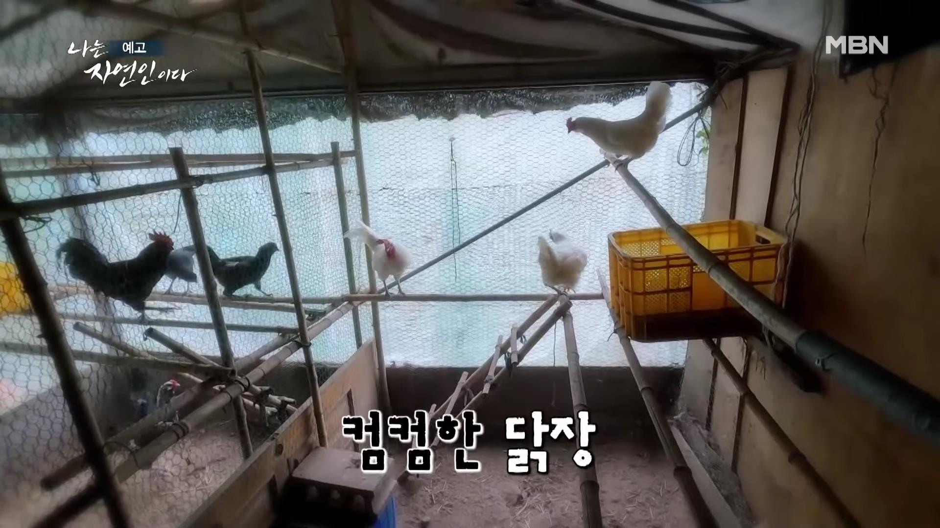 나는 자연인이다 42년 공무원 출신 산야초 대통밥 봄 나물 전 행복산 사랑동사무소 자연인 강이규 소개 및 이승윤 출연 552회 다시보기