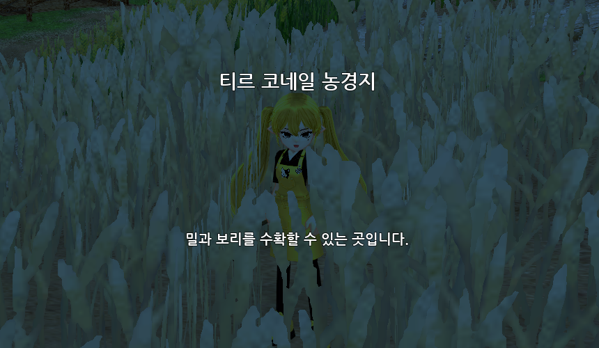 티르 코네일 농경지
