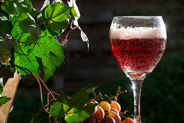 ๋๋ถ๋ฅด์ค์ฝ(Lambrusco)