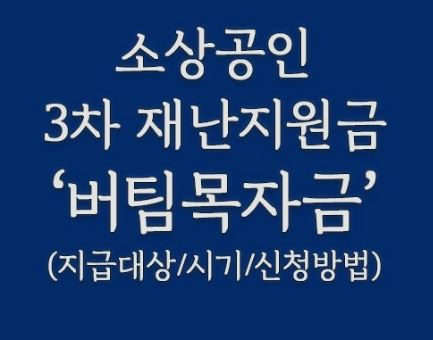 소상공인버팀목신청