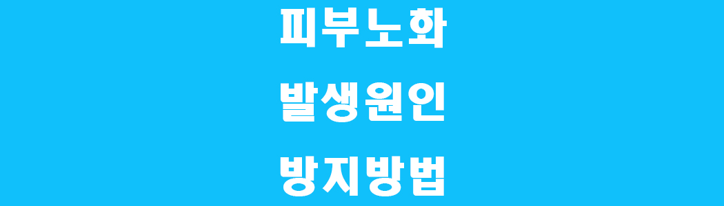 피부노화발생원인 썸네일