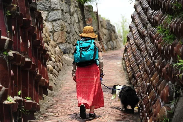 나고야 자유여행 추천 액티비티와 실전 체험 후기_2