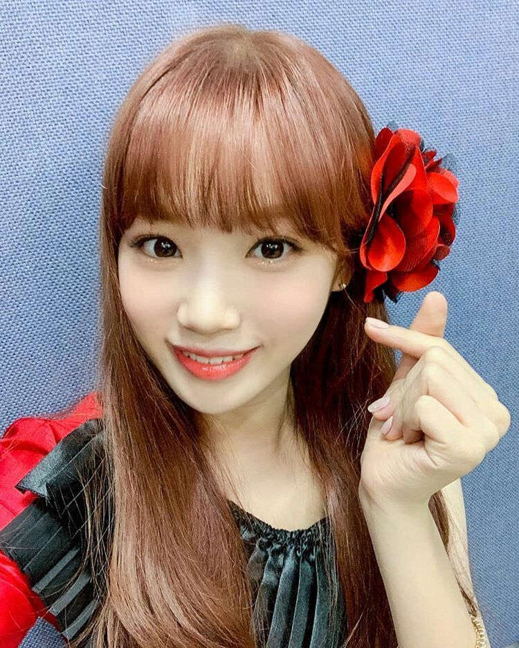 김채원 사진 모음