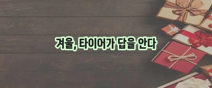 겨울철 안전운전을 위한 스노우타이어 선택 가이드