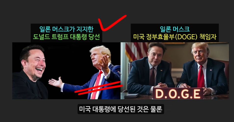 일론 머스크의 충격 발언과 도지코인, 플로키코인, 위프코인, 피넛코인, 프레드 코인의 강력한 상승 가능성 분석