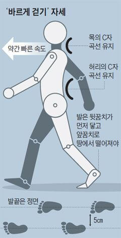 운동