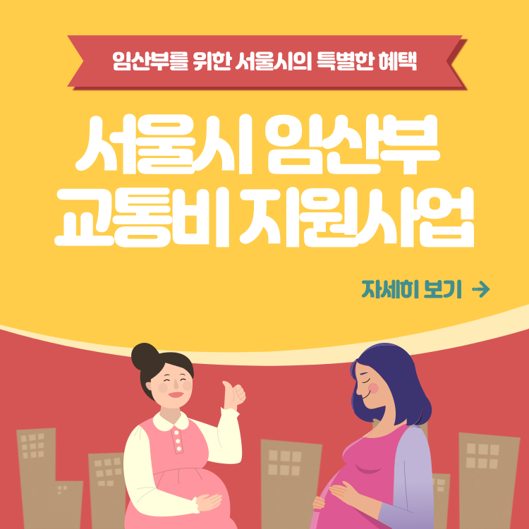 서울시임산부교통비지원사업
