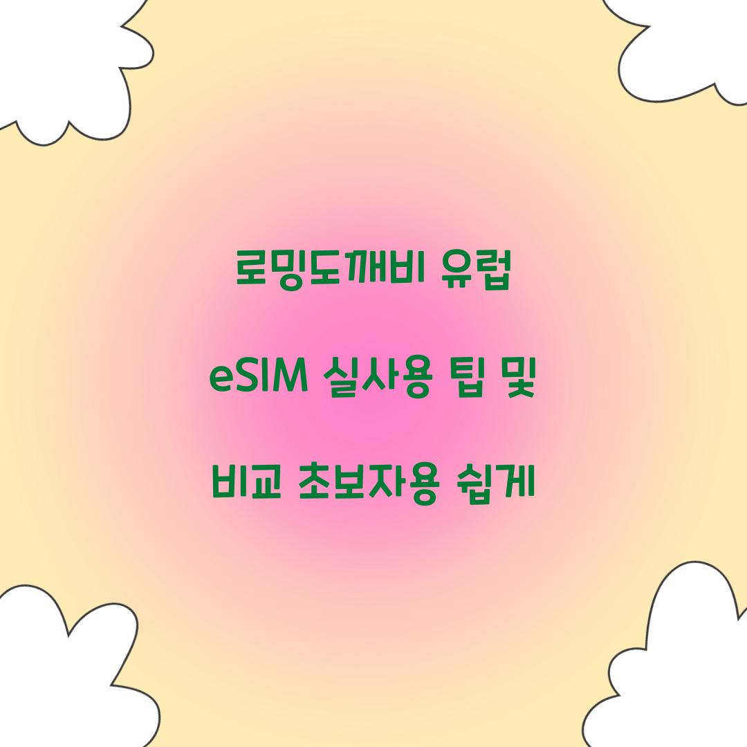로밍도깨비 유럽 eSIM