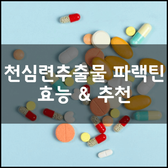천심련-관절엔-아나-파랙틴-아나-파렉틴-효능-추천