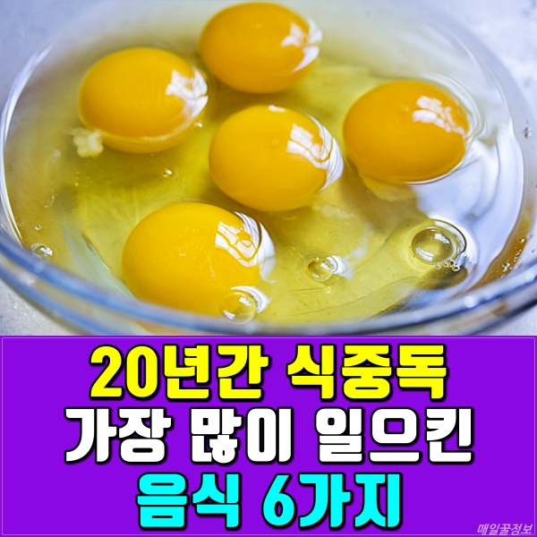 식중독 증세 증상 원인 장염 음식,건강