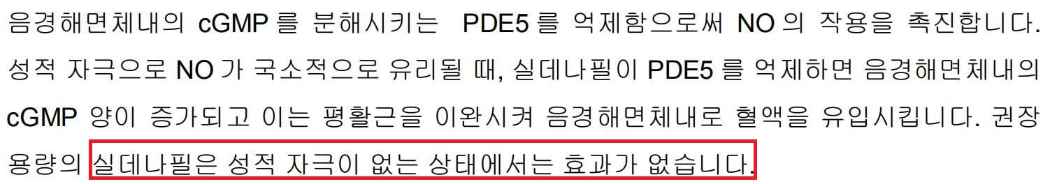 실데나필 제품설명서