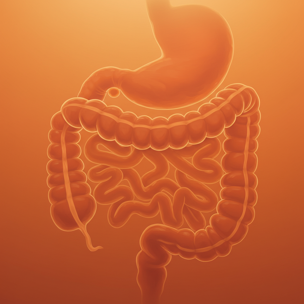 장염에 먹어도 되는 음식