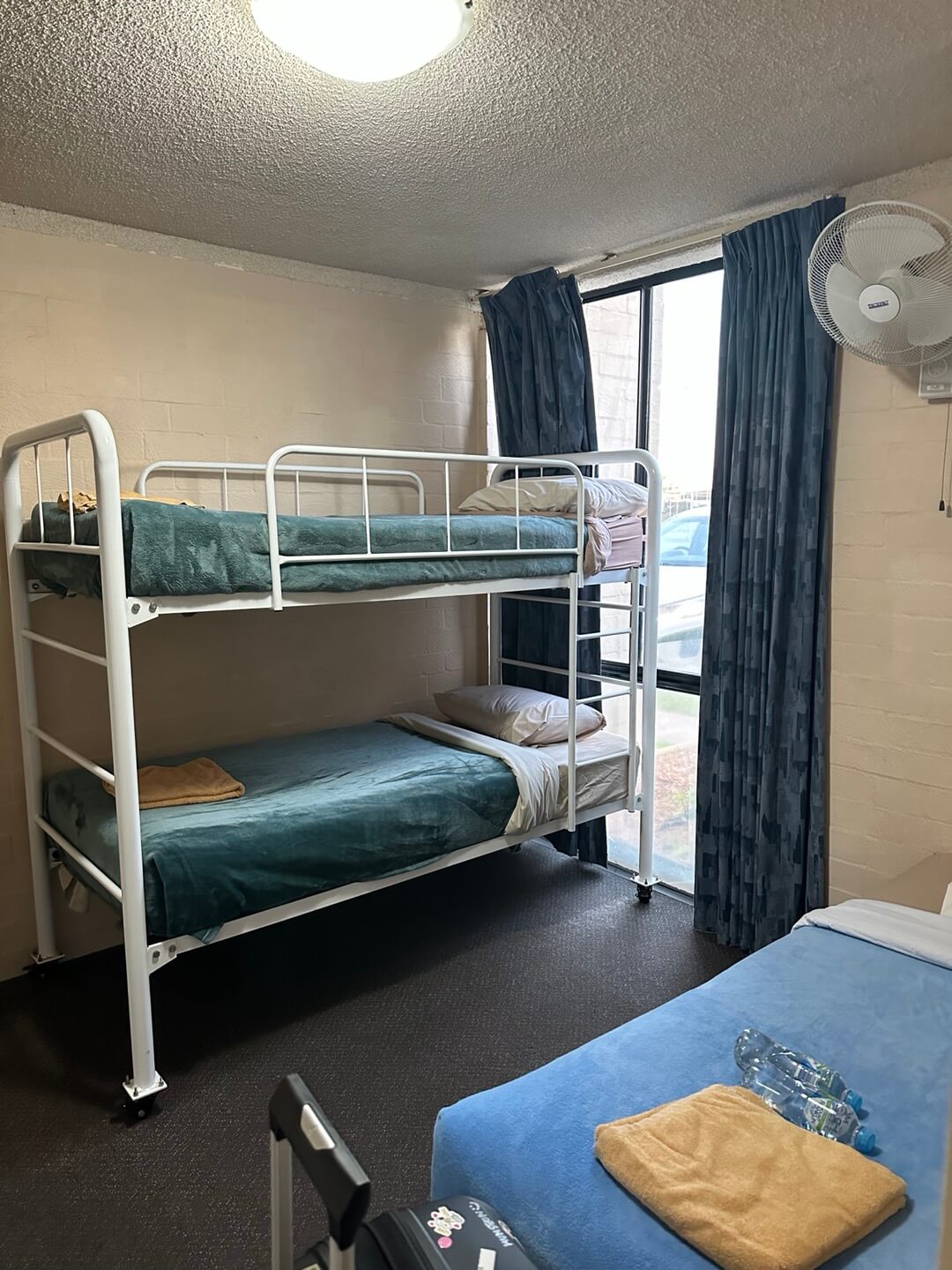 호주 퍼스 여행정보&amp;#44; 쿼카 로트네스트 섬&amp;#44; 칼바리 피나클스 투어