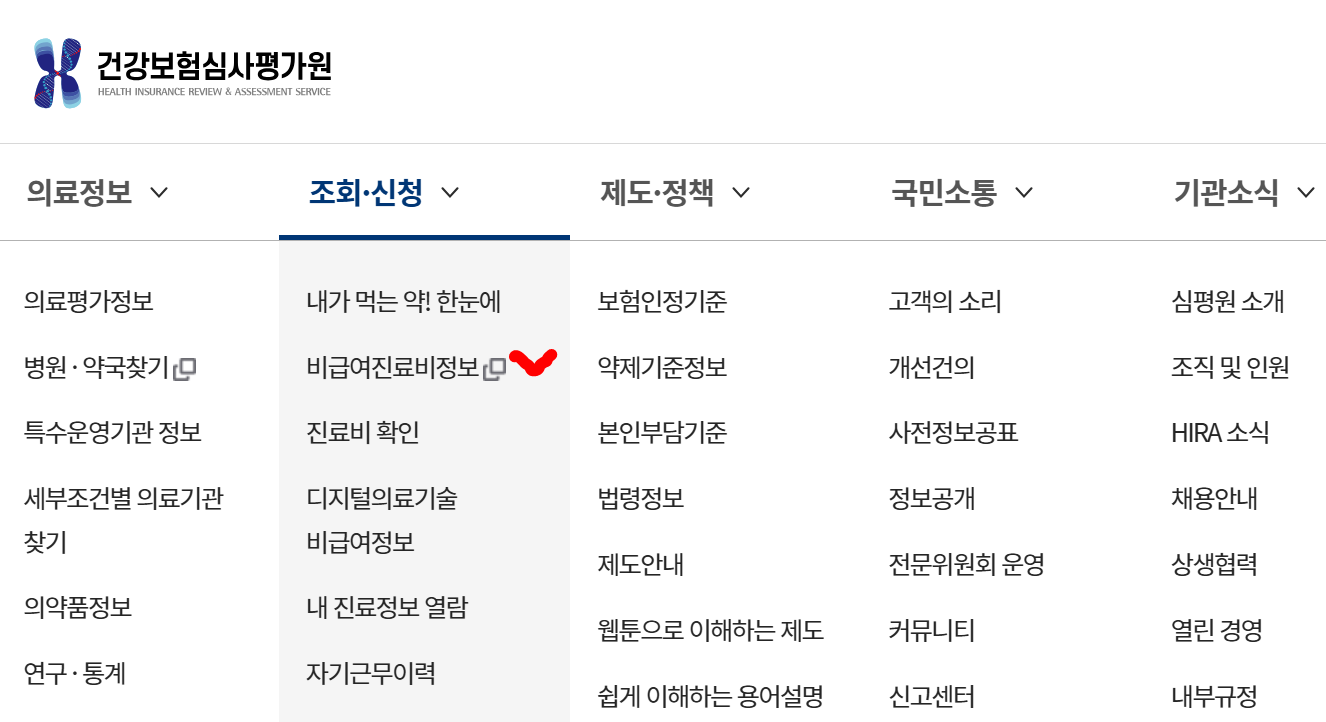 심평원 조회