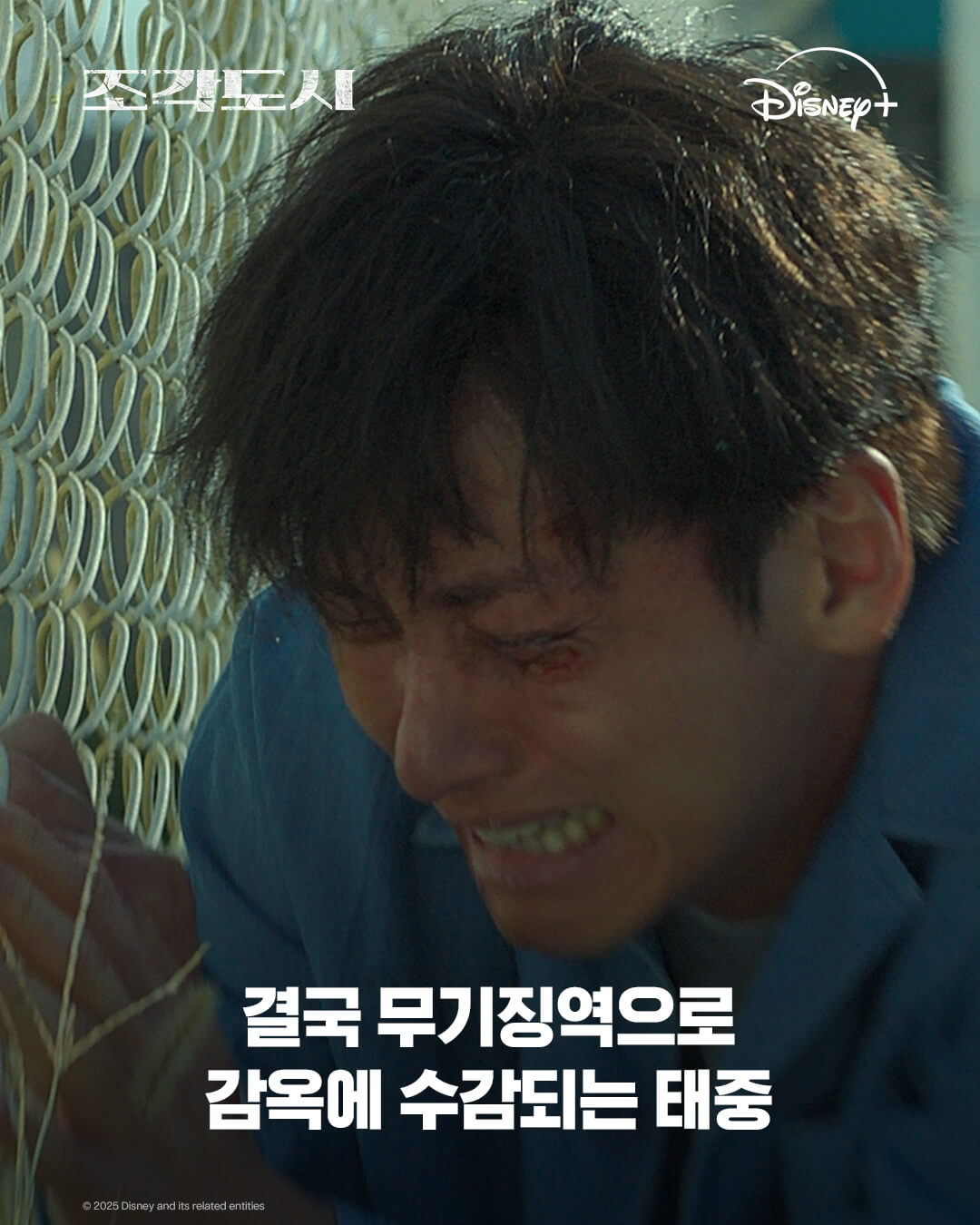 조각도시