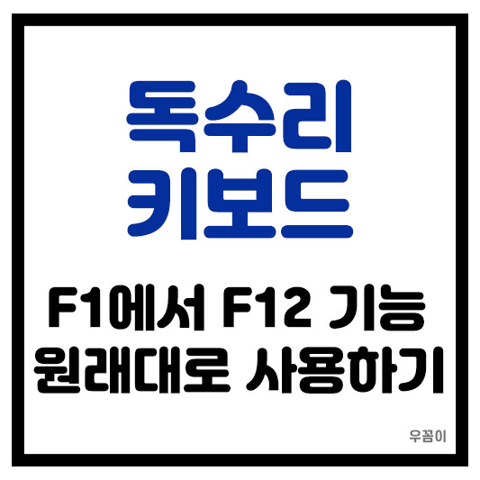 독거미 키보드 F1부터 F12키 기능 원래대로 사용하는 방법