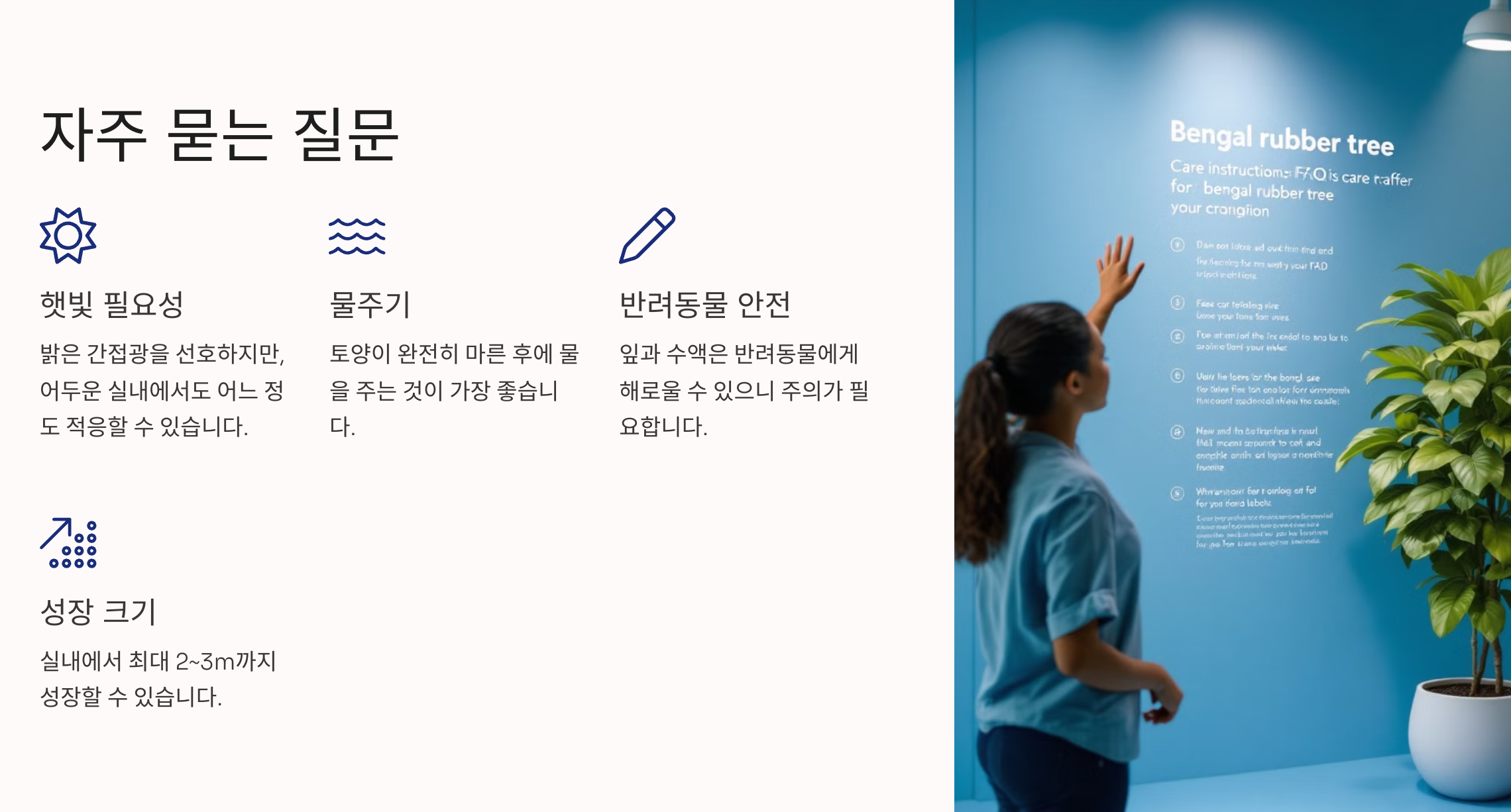 자주묻는 질문 사진