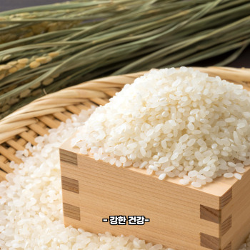 바나듐 쌀 부작용