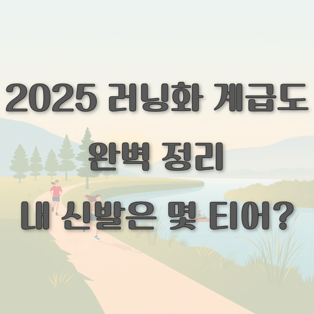 2025 러닝화 계급도 완벽 정리 - 내 신발은 몇 티어?