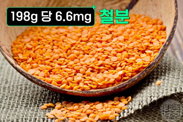 철분 많은 음식 렌틸콩 피로회복에 좋은 음식