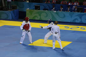 항저우 아시안 게임 태권도 메달 총정리 (금메달 위주)