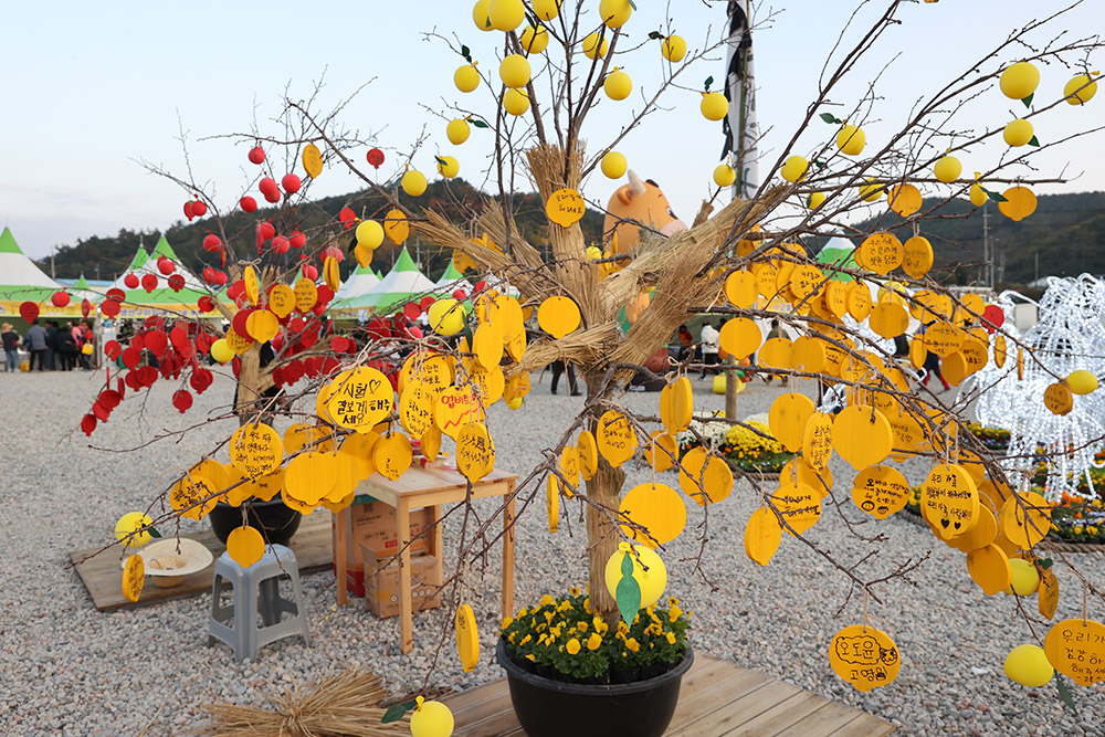 2024 고흥 유자 축제