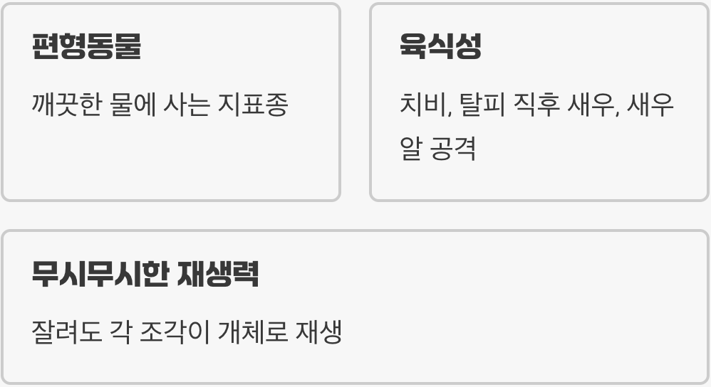 1. 이 벌레, 정체가 뭔가요? (플라나리아의 특징)