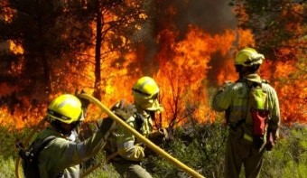 소방관이-산-꼭대기까지-올라가-산불진화에-악전고투를-하는-모습