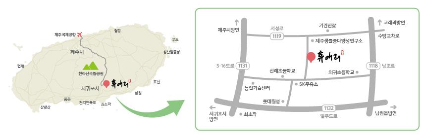 휴애리 수국축제 교통편
