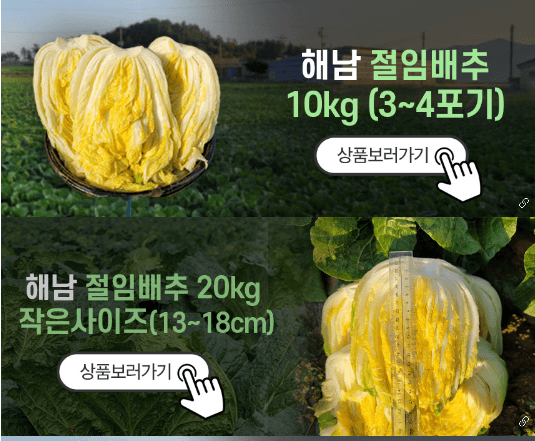 김장 절임 배추 20kg 가격 비교 추천