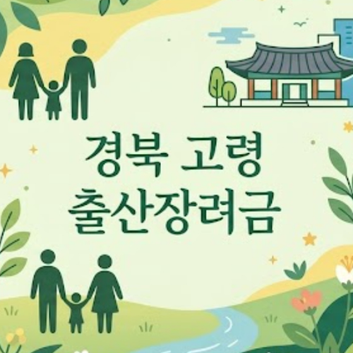 경북 고령 출산장려금