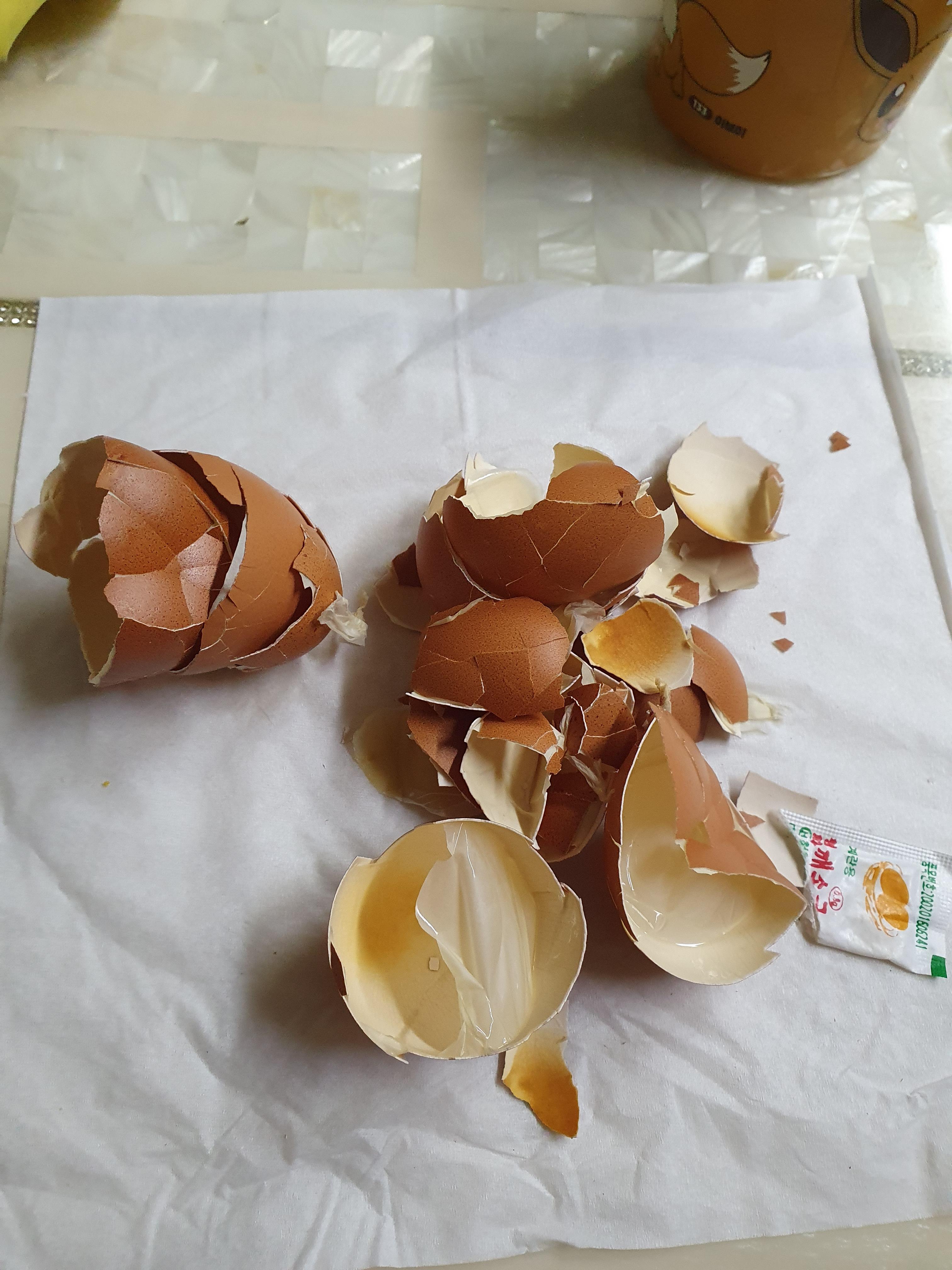 순식간에 5개 클리어!