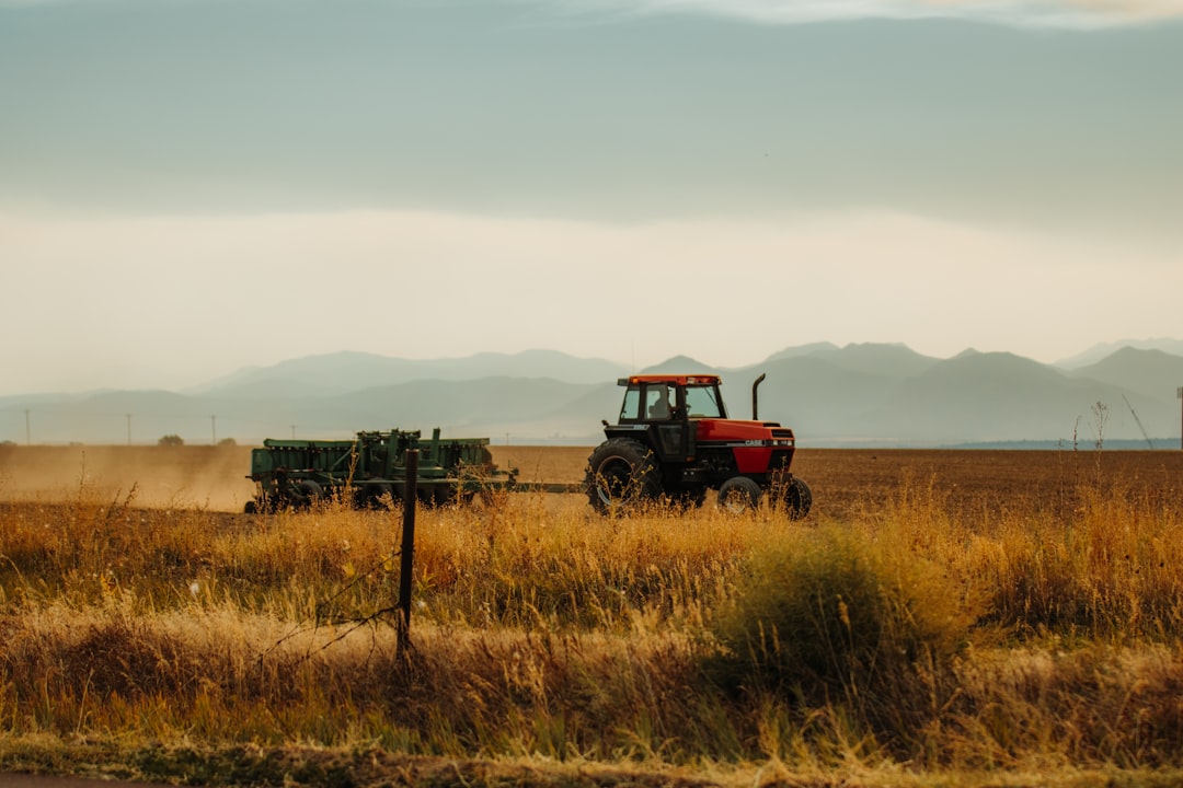 Rural