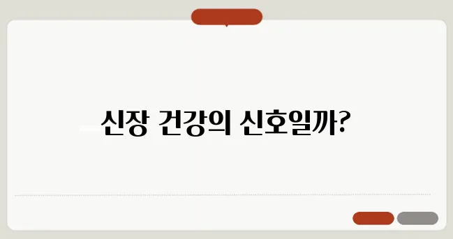 Creatinine 정상수치 높으면 신장 기능 이상일까