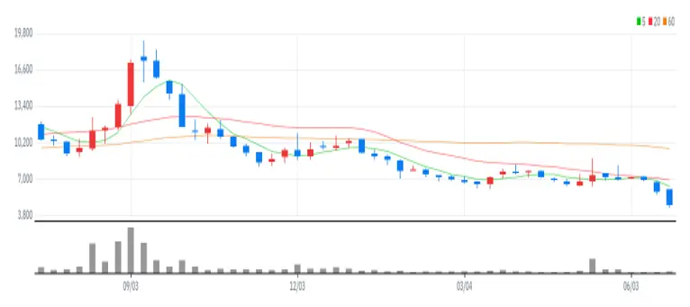 마이크로디지탈 주봉