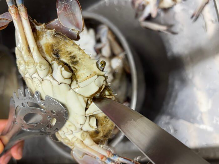 꽃게 입에 칼을 넣고 체액을 빼는 사진