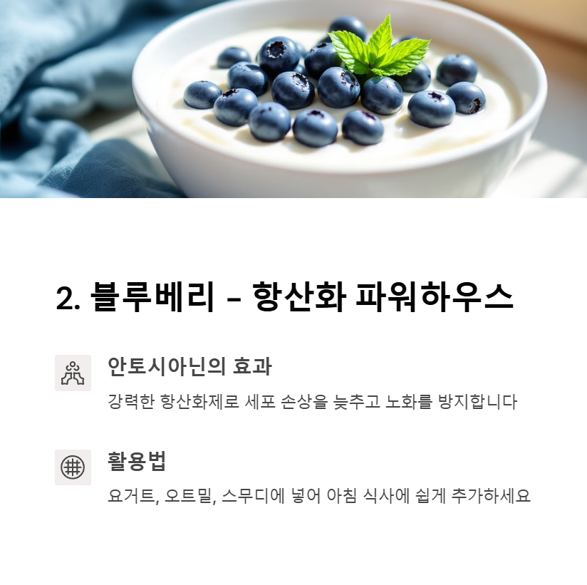 블루베리 - 강력한 항산화제로 노화 속도 늦추기