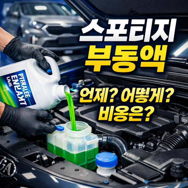 스포티지 부동액