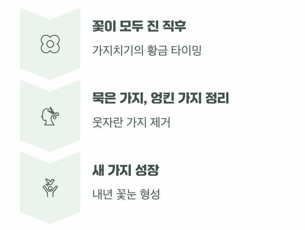 꽃이 진 직후&amp;#44; 단 한 번의 기회 (가지치기)