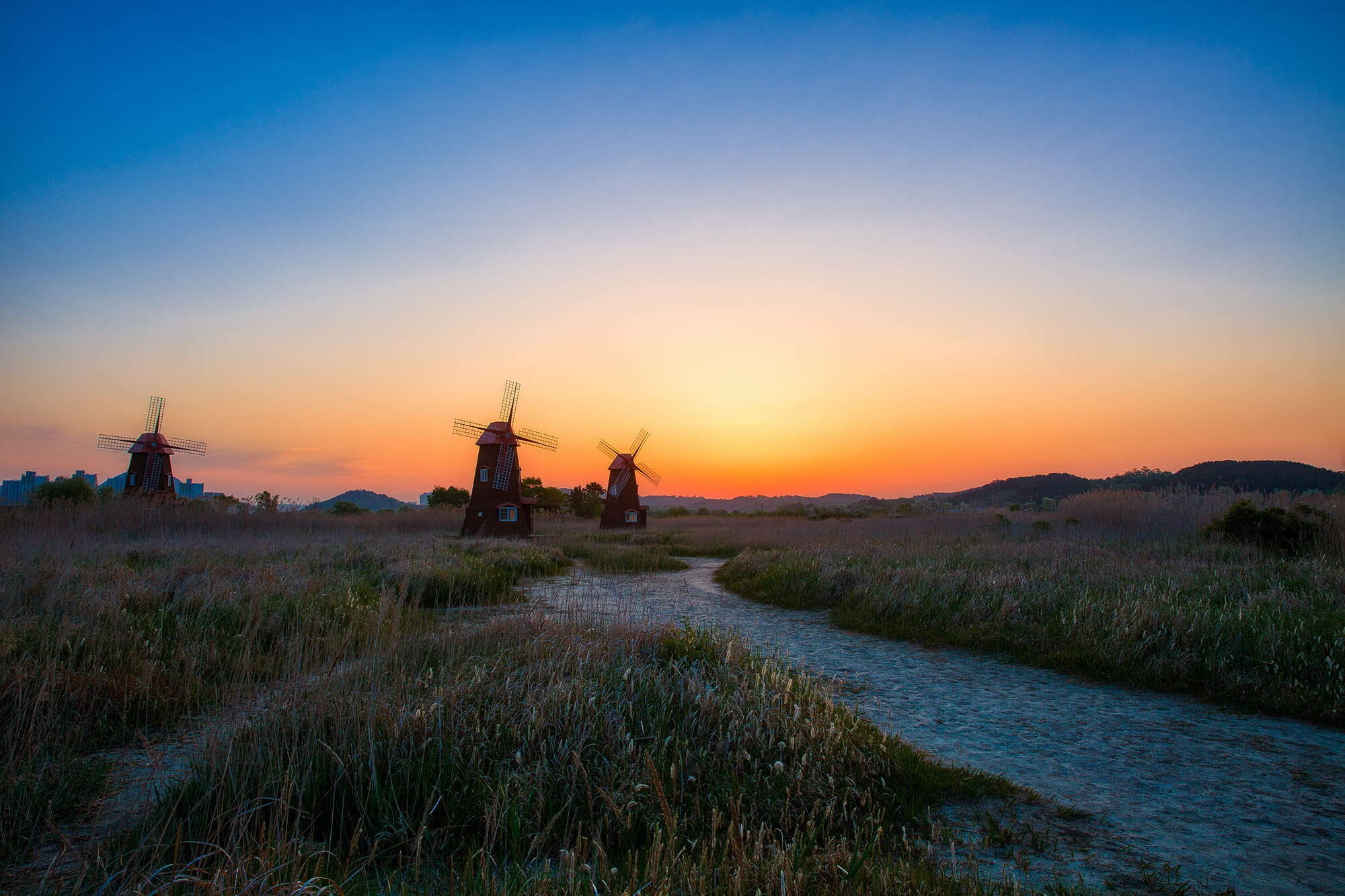 소래습지생태공원 여명4