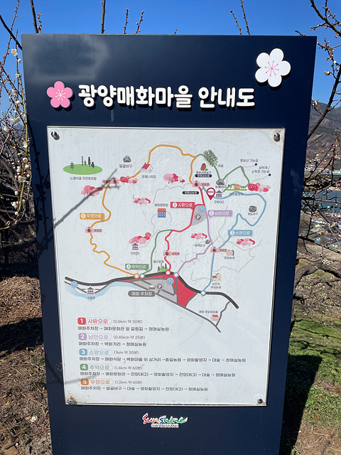 24년 광양 매화 축제 일정 요금 주차