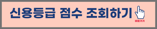 신용등급점수-확인하기