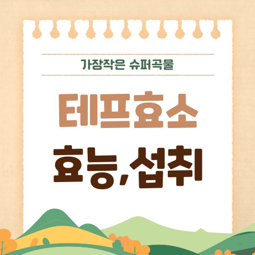 테프 곡물 발효효소 효능