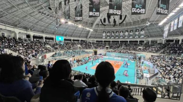 여자배구 연봉순위