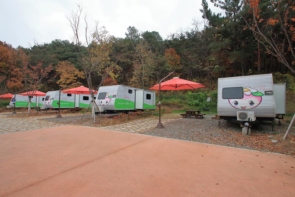 대구 달서별빛캠프 캠핑장 소개