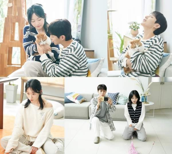 냥육권전쟁 한편의 드라마가 던진 뼈있는 질문