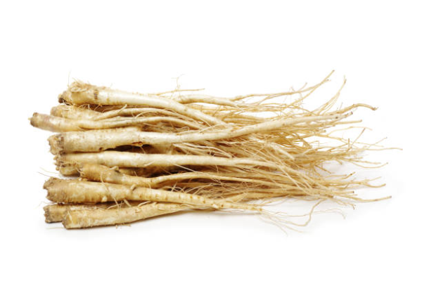 도라지에 들어 있는 주요 영양 성분