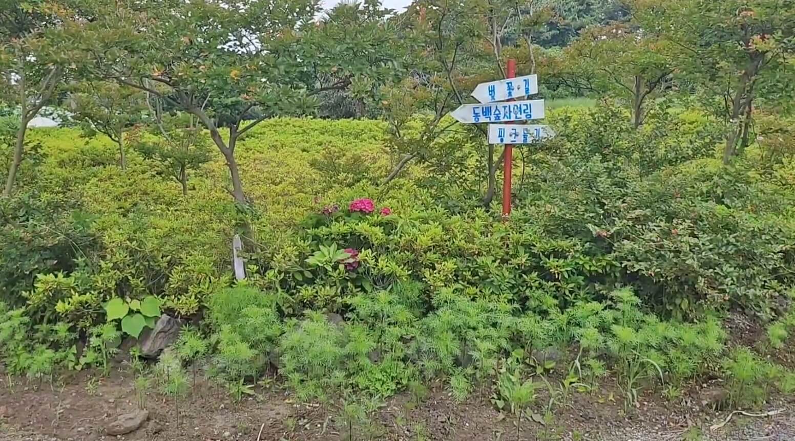 현애원
