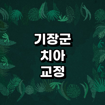 부산 기장군 교정 치과