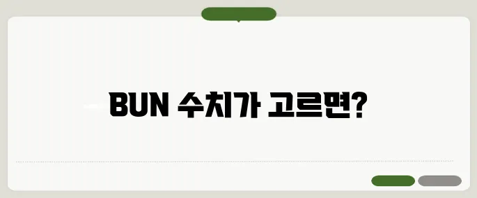 bun 수치 의미 높으면 신장부터 의심